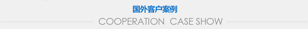 国外客户案例