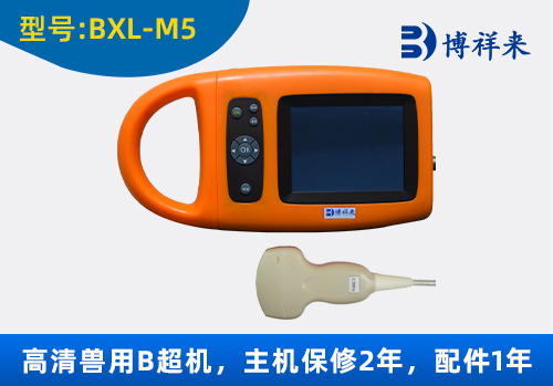 兽用B超BXL-M5