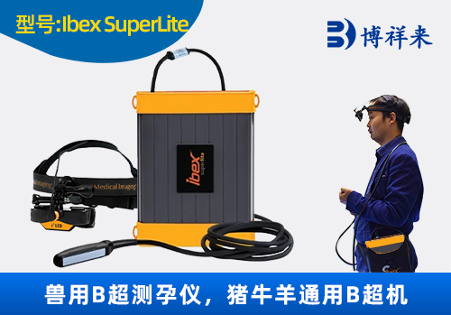<b>美国进口奶牛B超机IBEX SuperLite</b>