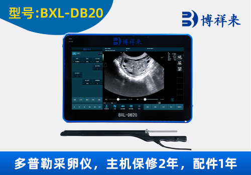兽用OPU活体采卵仪牛马采卵仪BXL-DB20