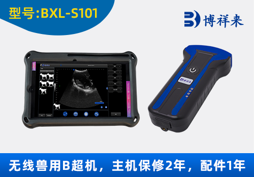 猪羊用测孕B超机 背膘仪 BXL-S101
