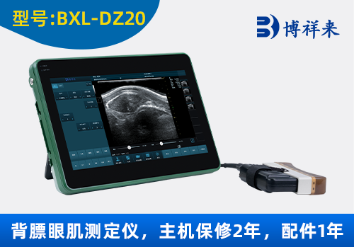 种猪背膘仪猪羊眼肌面积测定仪内脂肪测定仪B