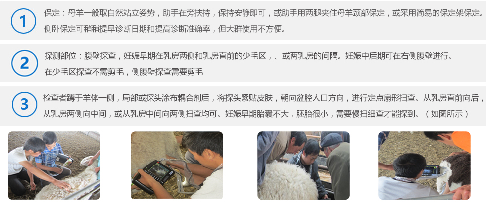 兽用B超机M2使用方法图解