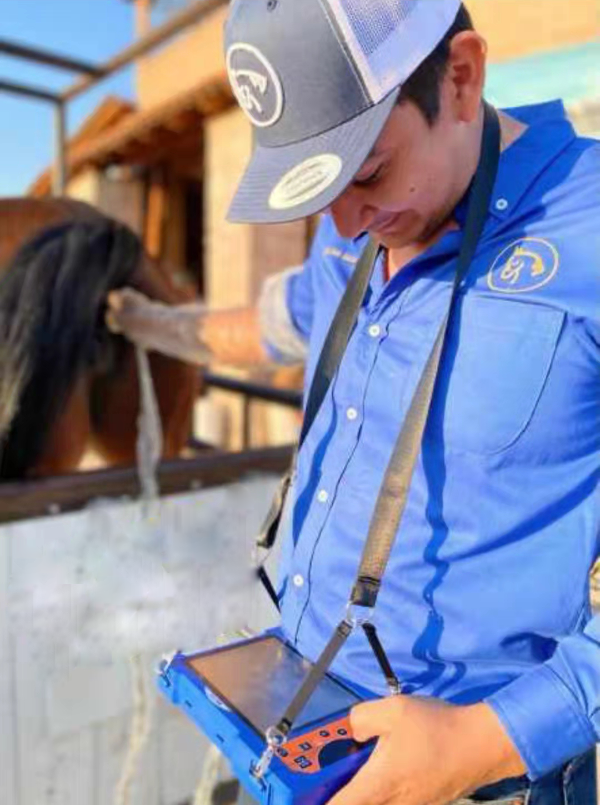 高清兽用B超机国外使用案例