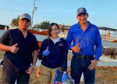 国外兽医团队使用我们的兽用B超机BXL-V50