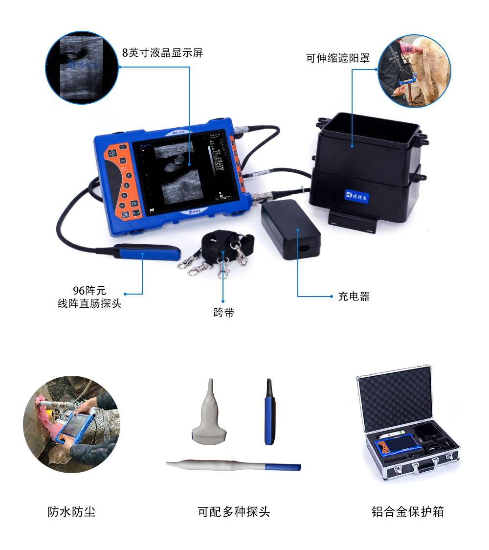 兽用B超机BXL-V50细节图