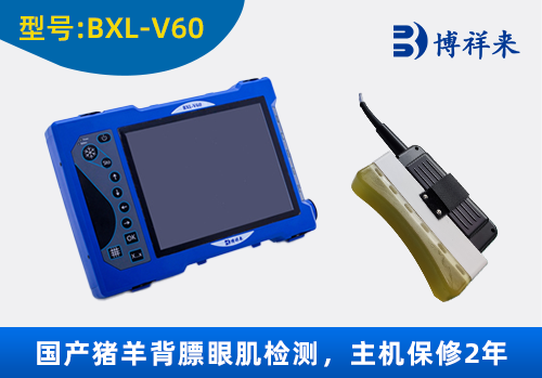 种猪背膘仪眼肌面积测定仪BXL-V60