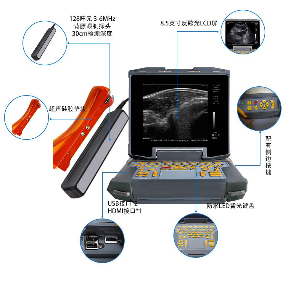 高清背膘眼肌面积测定仪