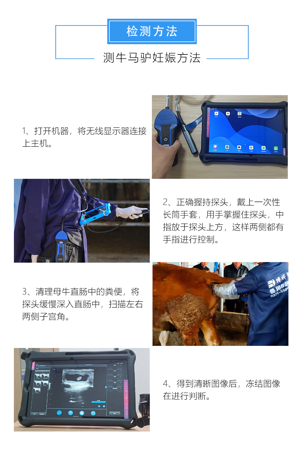 无线兽用B超机测牛妊娠方法