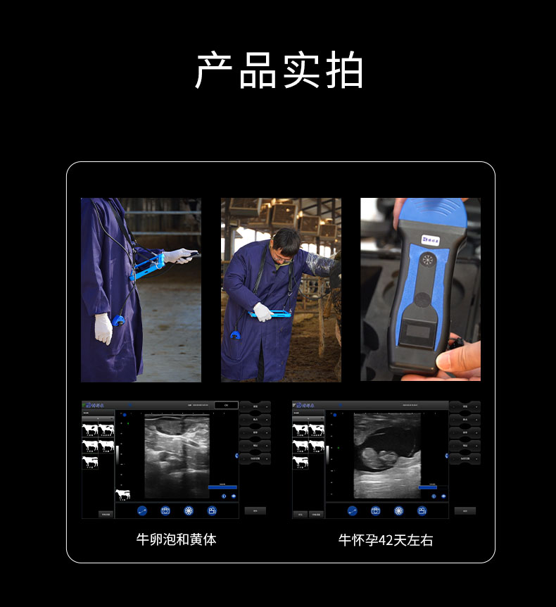 牛马用无线测孕仪