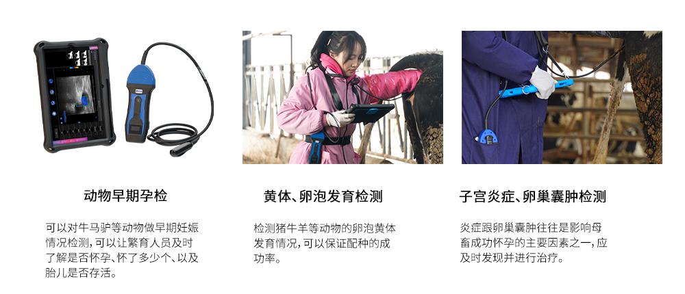 高清无线兽用B超仪