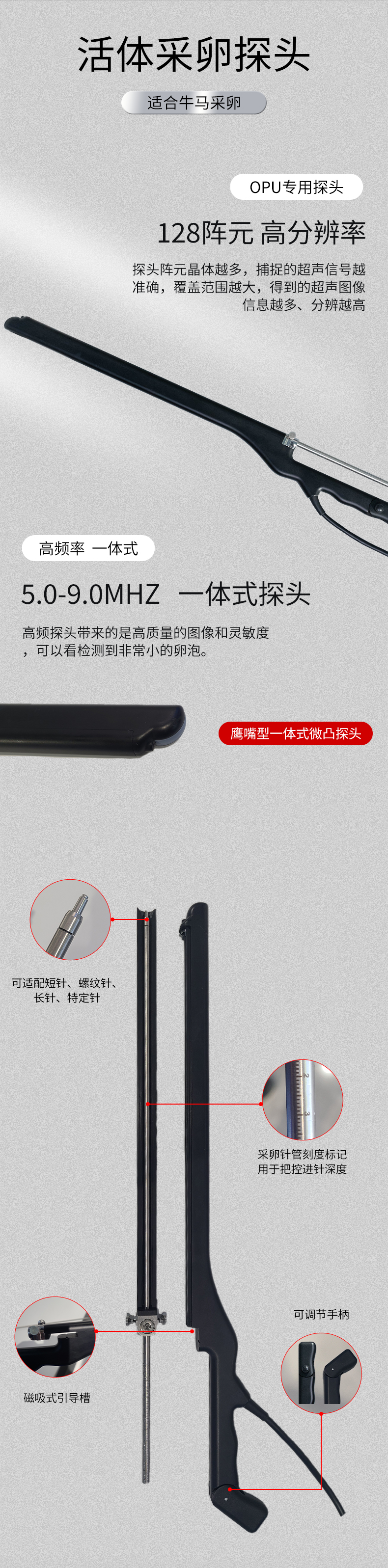 高清牛活体采卵探头