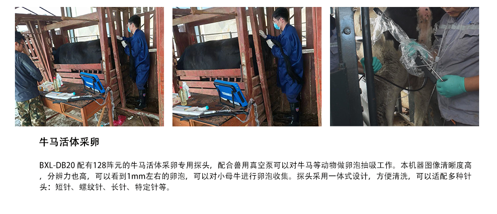 多普勒牛马活体采卵仪