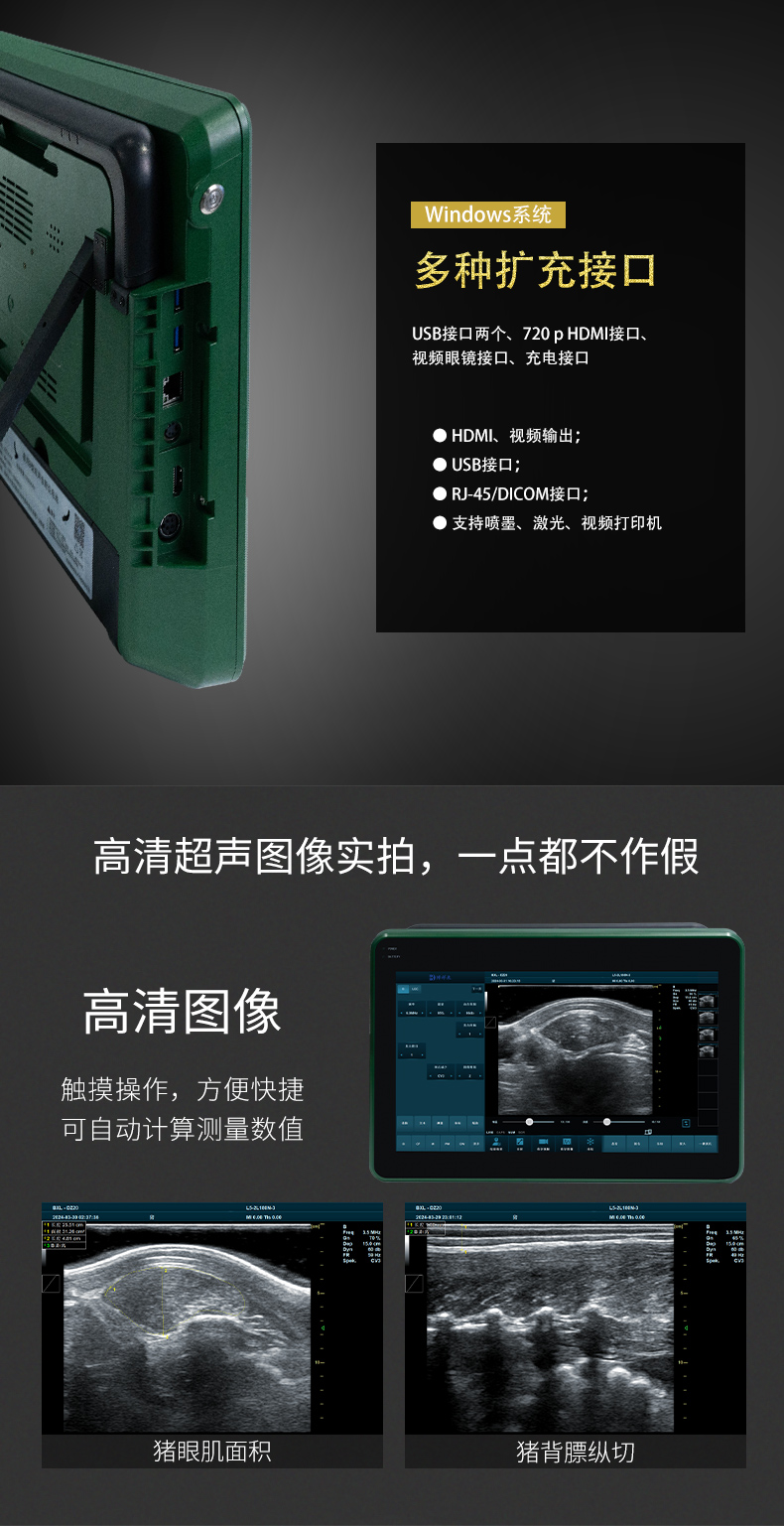 猪羊背膘仪眼肌测定仪