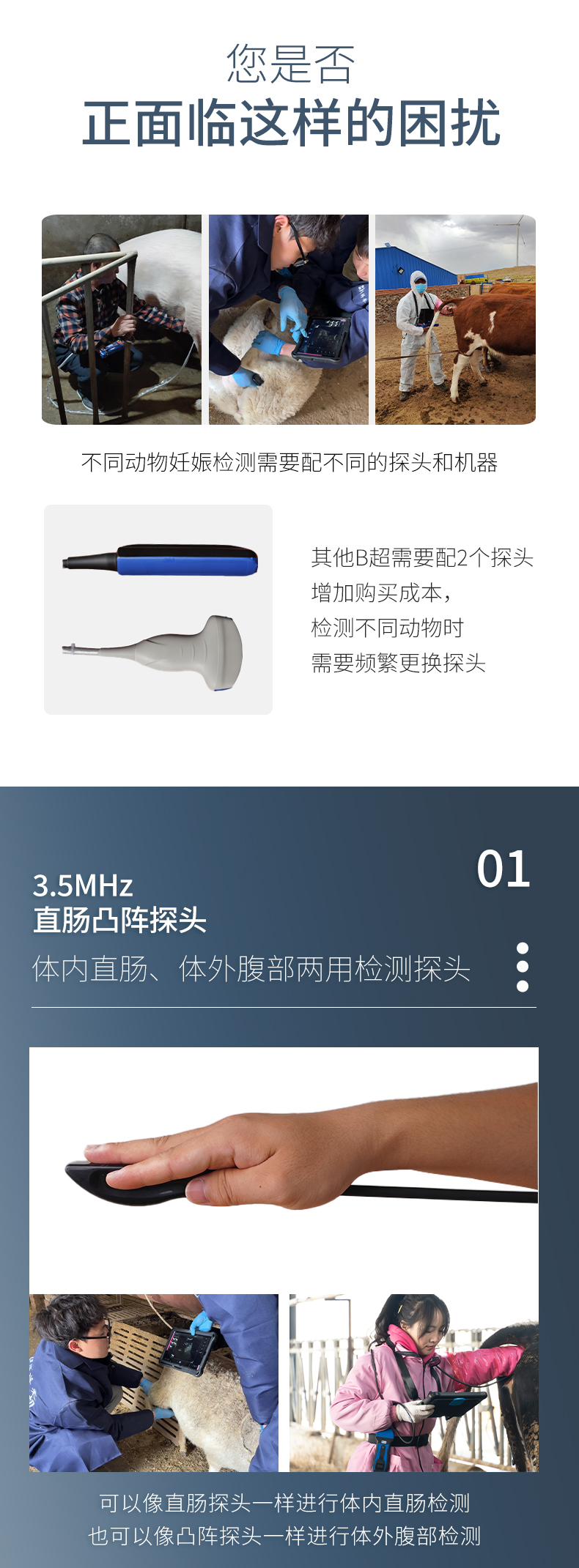 直肠凸阵B超测孕仪