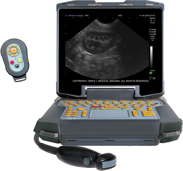 老鼠检测用B超机