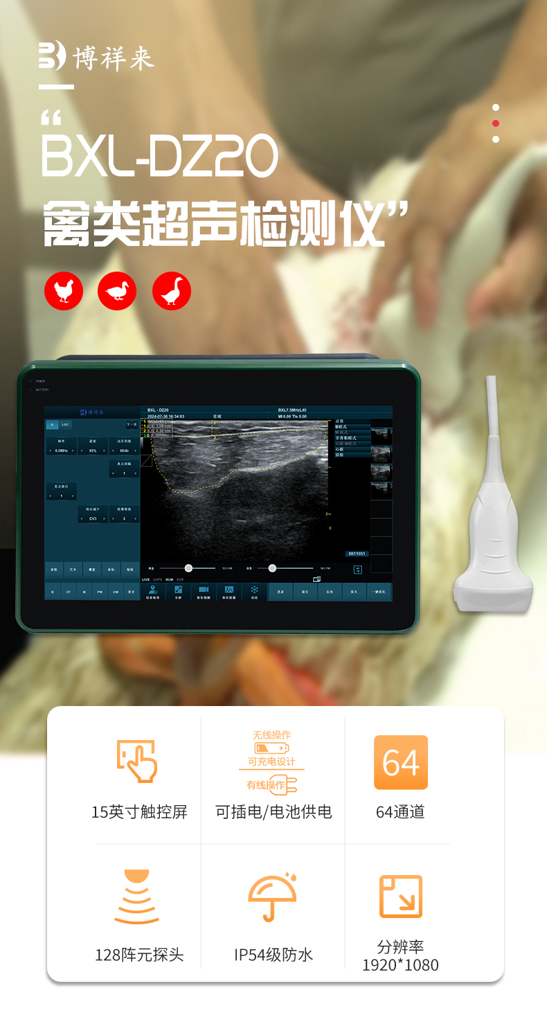 鸡鸭鹅胸肉检测