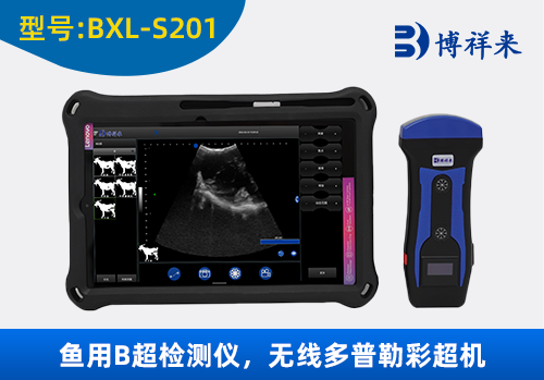 无线多普勒彩超猪羊用B超机BXL-S201