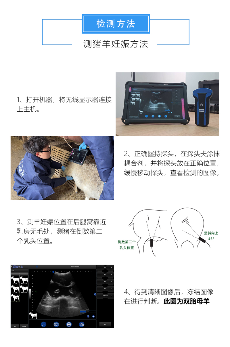 高清猪羊B超机检测方法