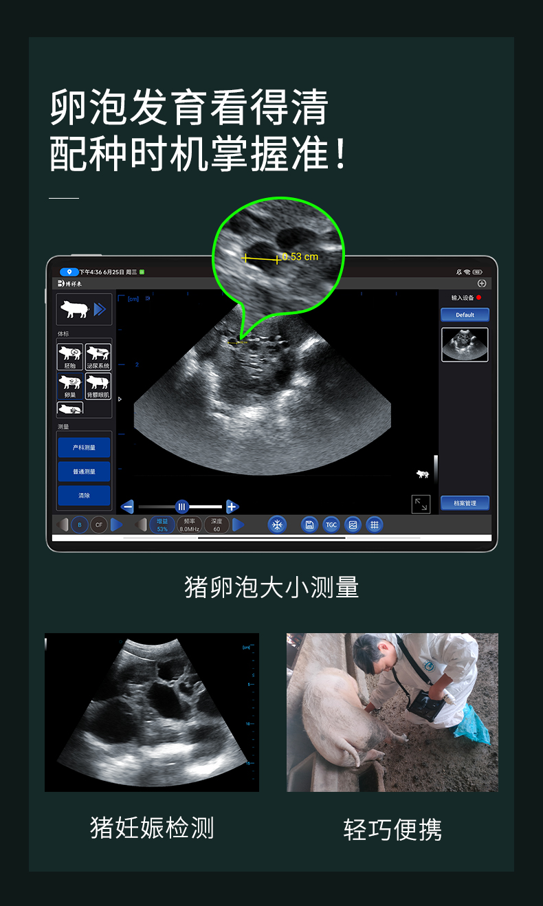 猪场批次化管理B超机