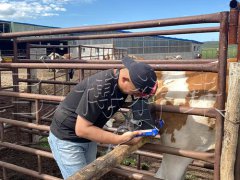 博祥来技术团队到内蒙古牛场开展牛用B超机培训